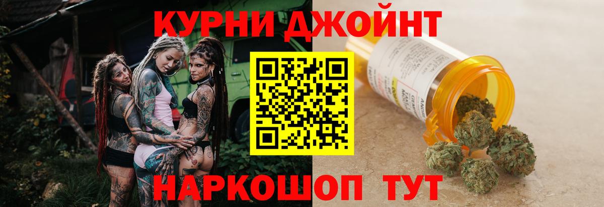 Канабис сатива Югорск